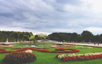Le Salon ou l’esthétique du jardin