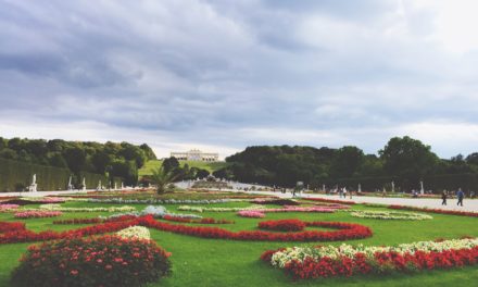 Le Salon ou l’esthétique du jardin