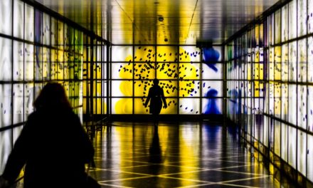 L’échange, outil de créativité et d’innovation