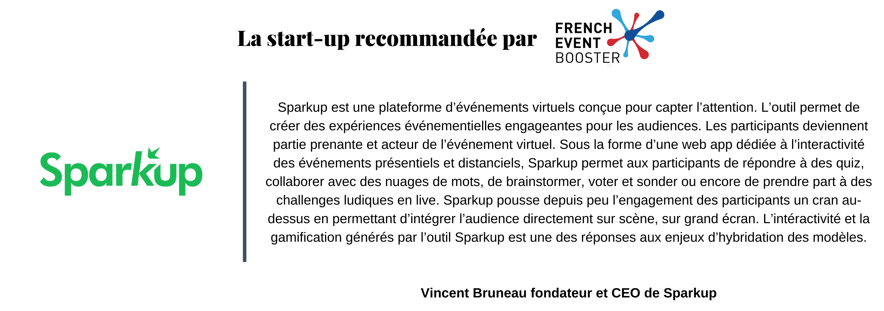 Thèmes site internet (34)