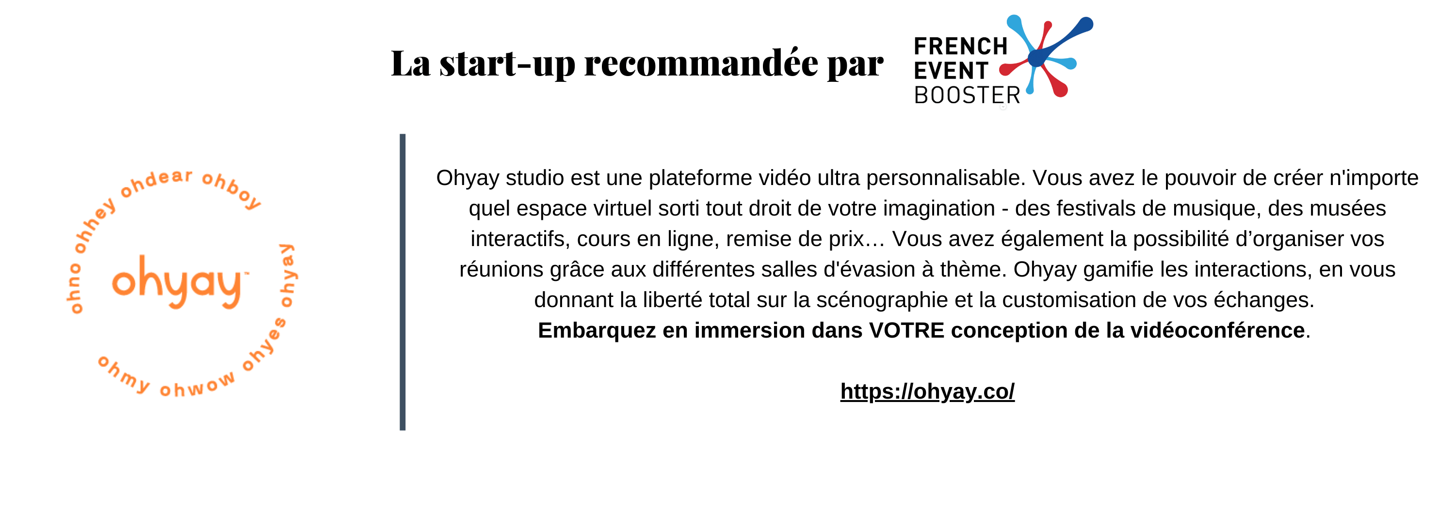 Thèmes site internet (35)