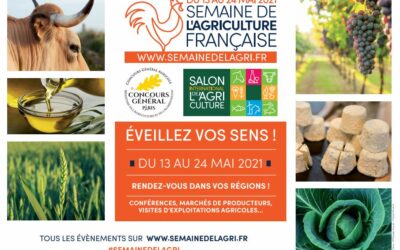 Du Salon International de l’Agriculture à la Semaine de l’Agriculture Française – Retour sur une expérimentation avec Valérie Le Roy