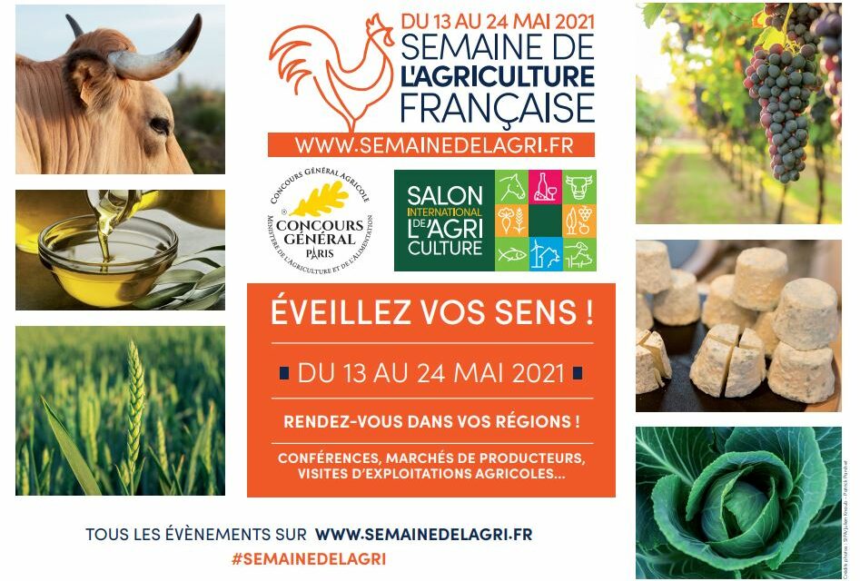 Du Salon International de l’Agriculture à la Semaine de l’Agriculture Française – Retour sur une expérimentation avec Valérie Le Roy