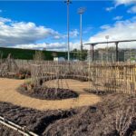 L’Olympique Lyonnais, sur le terrain de l’engagement