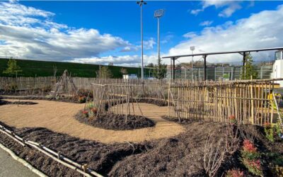 L’Olympique Lyonnais, sur le terrain de l’engagement