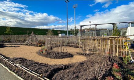 L’Olympique Lyonnais, sur le terrain de l’engagement