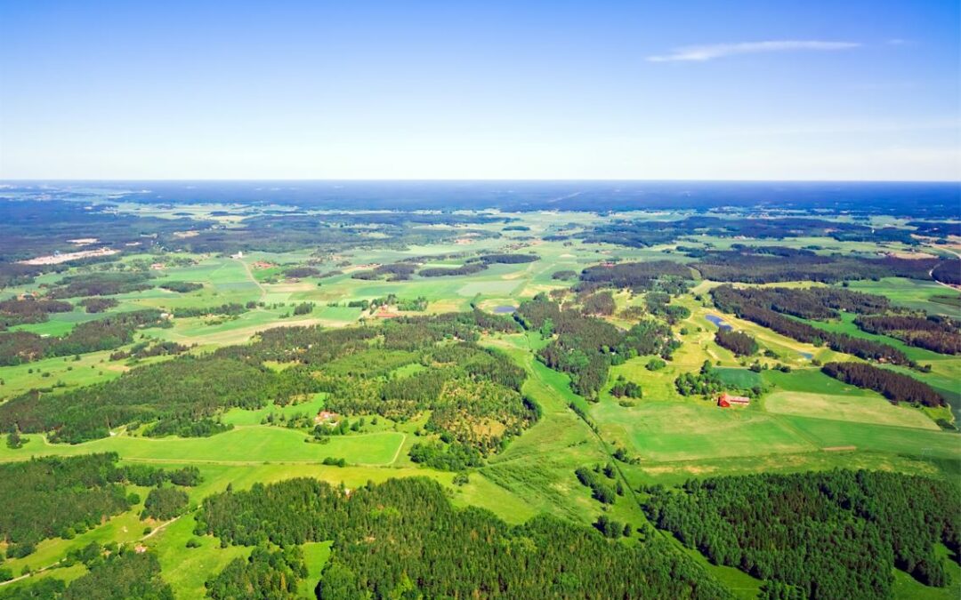 La rencontre événementielle : une terre que l’on cultive