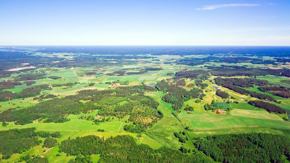 La rencontre événementielle : une terre que l’on cultive